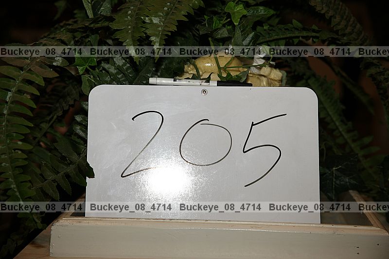 Proof Number buckeye_08_4714