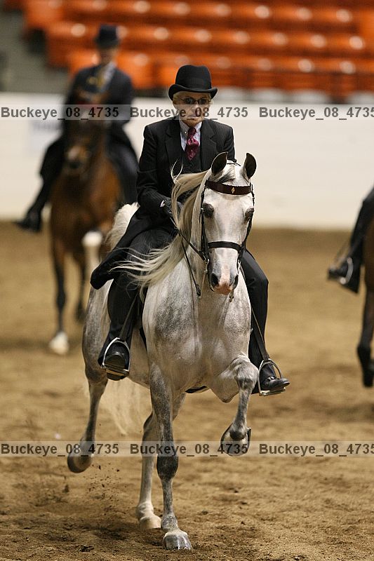 Proof Number buckeye_08_4735