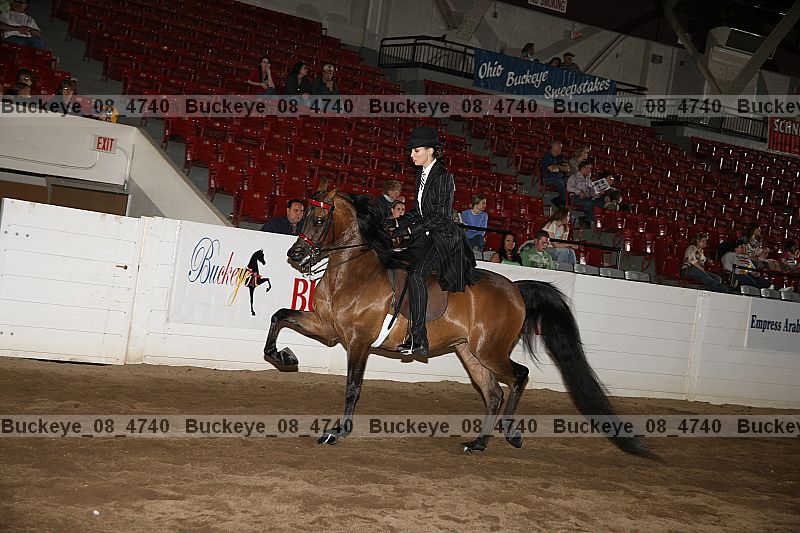 Proof Number buckeye_08_4740