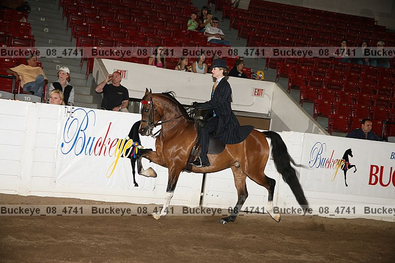 Proof Number buckeye_08_4741