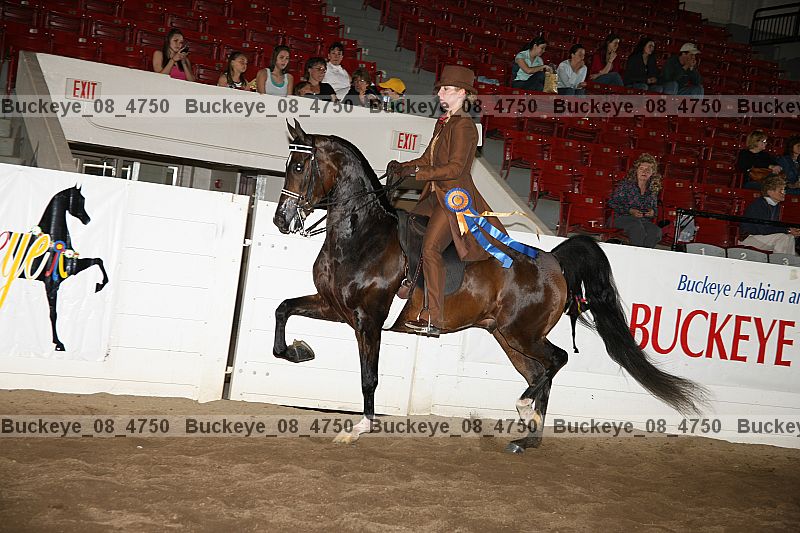 Proof Number buckeye_08_4750