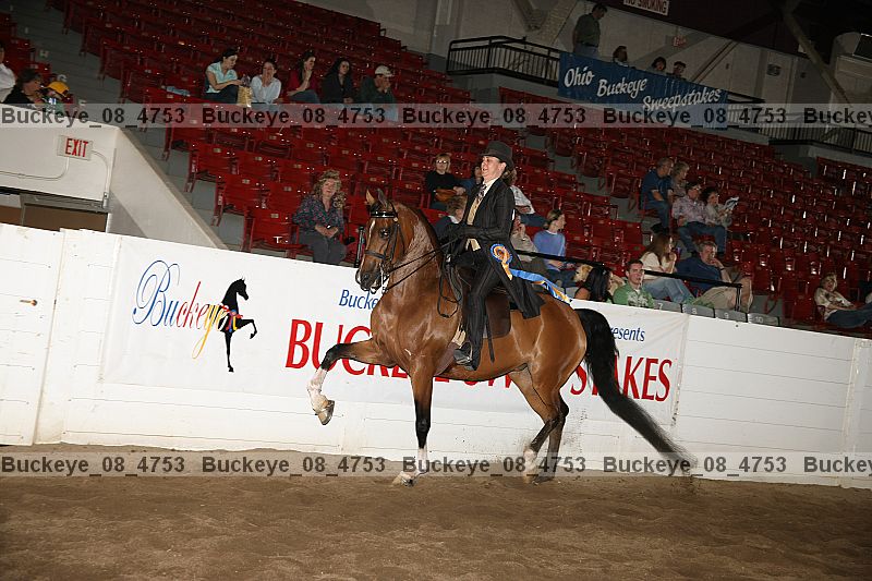 Proof Number buckeye_08_4753