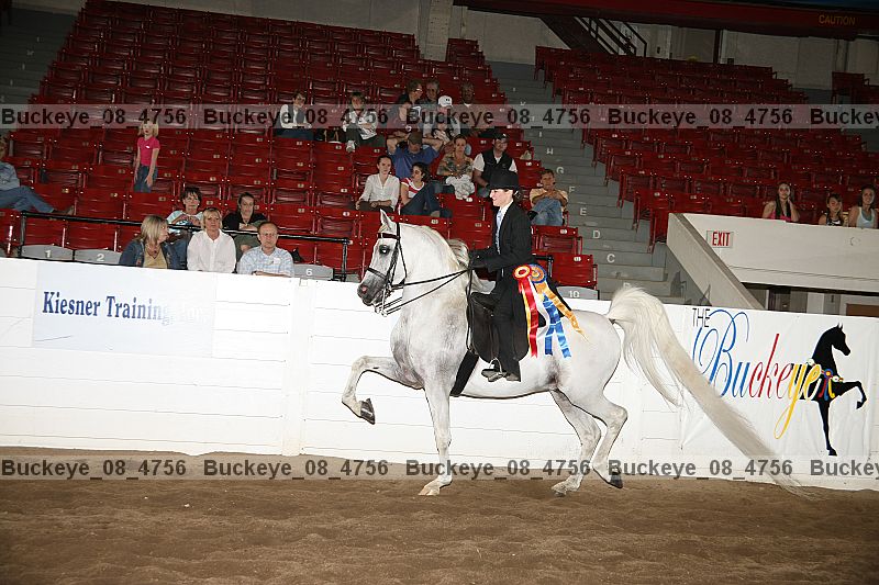 Proof Number buckeye_08_4756