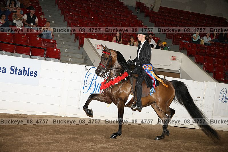 Proof Number buckeye_08_4757
