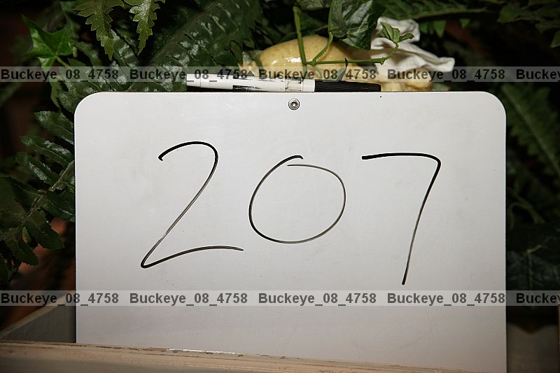 Proof Number buckeye_08_4758