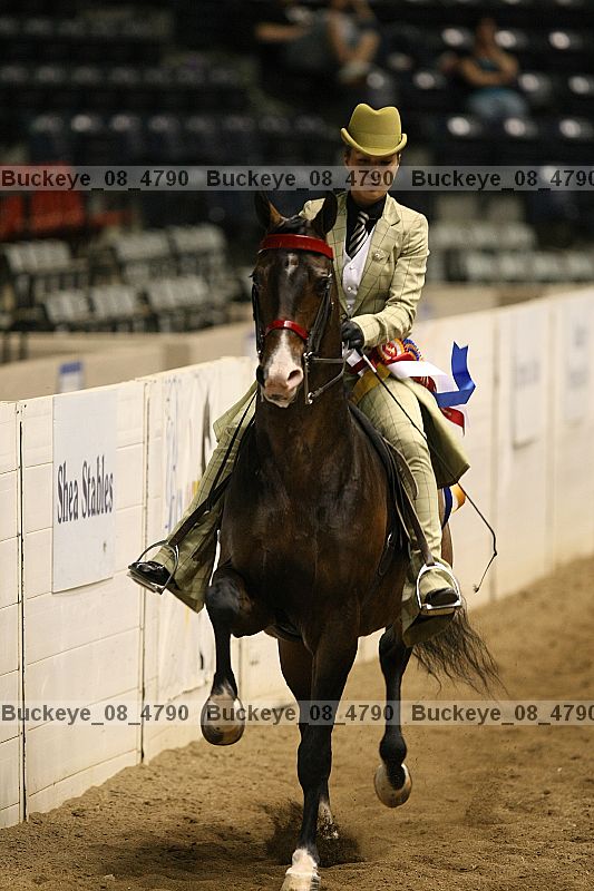 Proof Number buckeye_08_4790