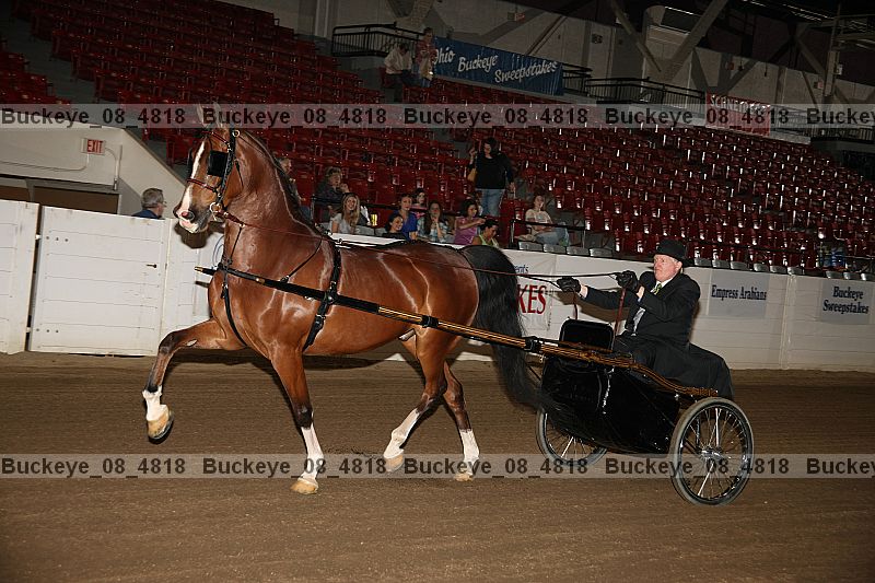 Proof Number buckeye_08_4818
