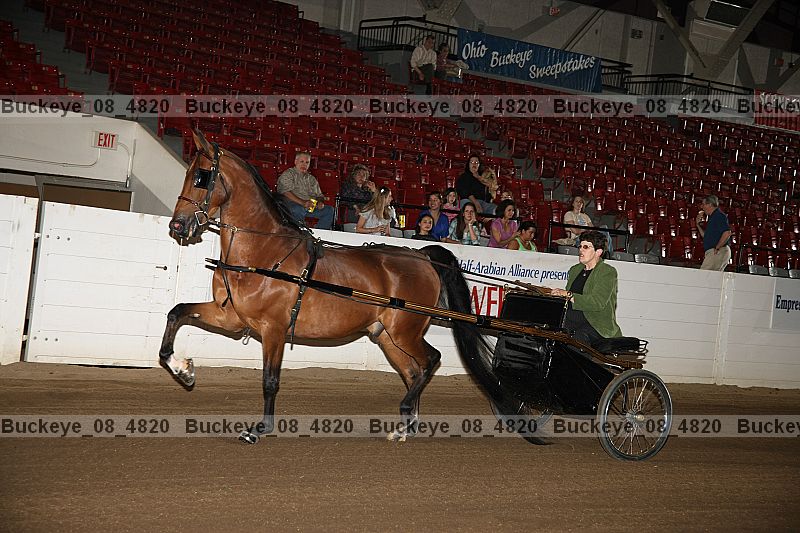 Proof Number buckeye_08_4820