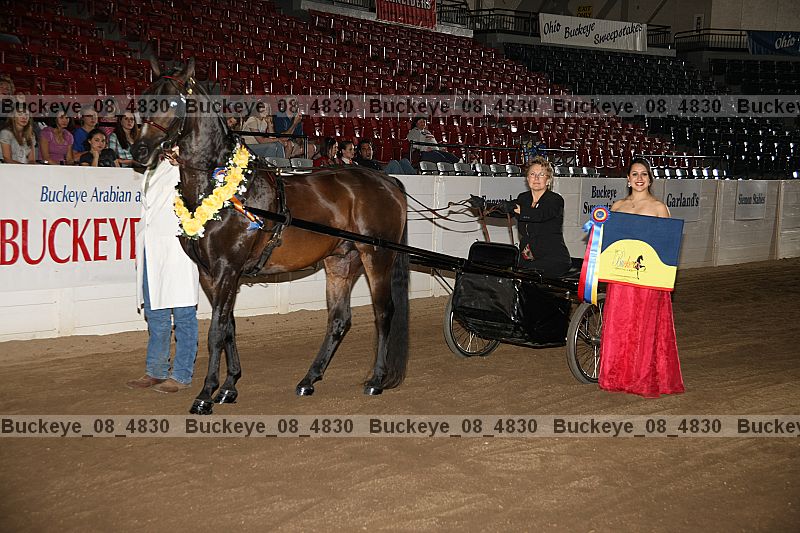 Proof Number buckeye_08_4830