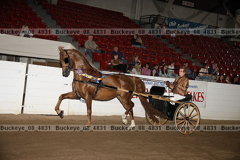 Proof Number buckeye_08_4831