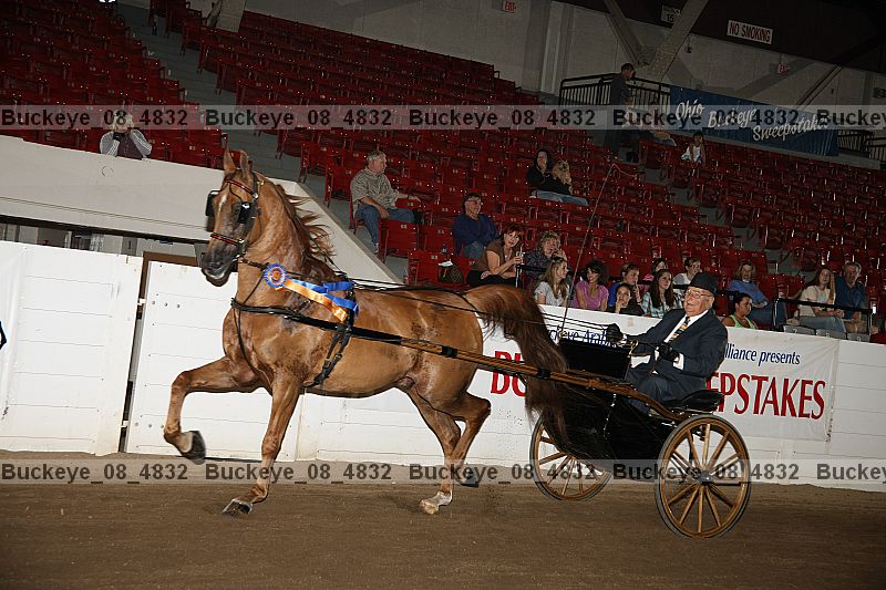 Proof Number buckeye_08_4832