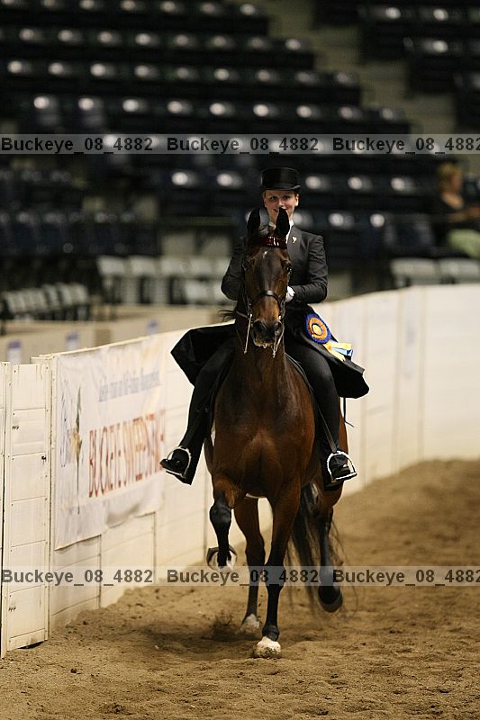 Proof Number buckeye_08_4882