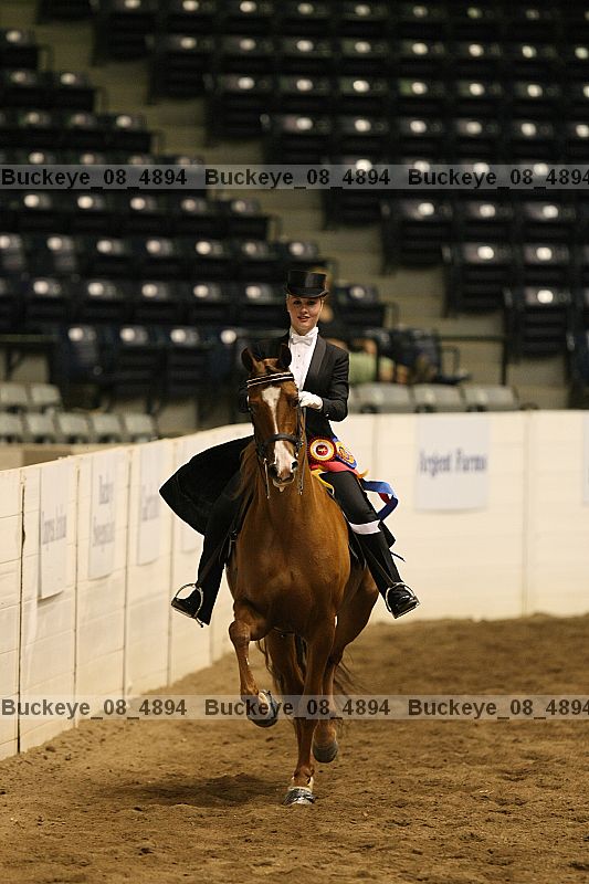 Proof Number buckeye_08_4894