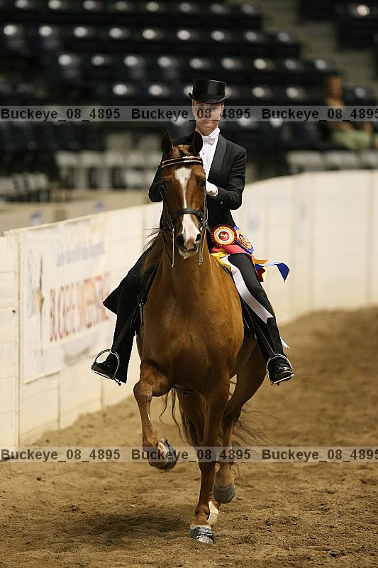 Proof Number buckeye_08_4895