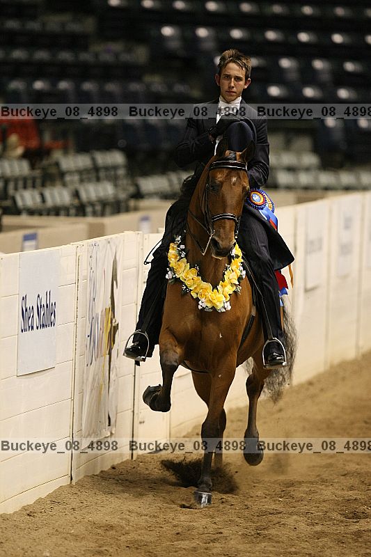 Proof Number buckeye_08_4898