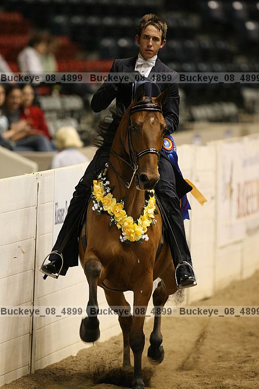 Proof Number buckeye_08_4899