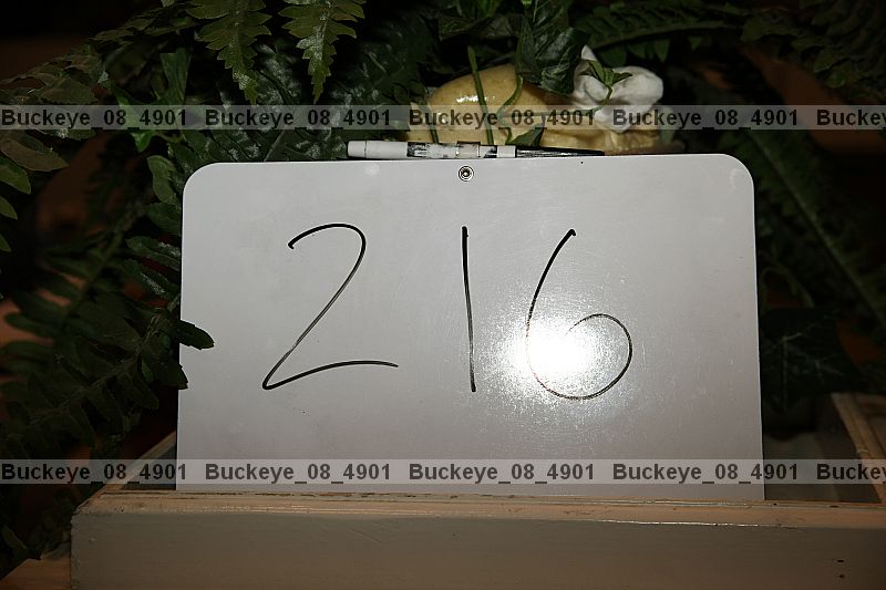Proof Number buckeye_08_4901