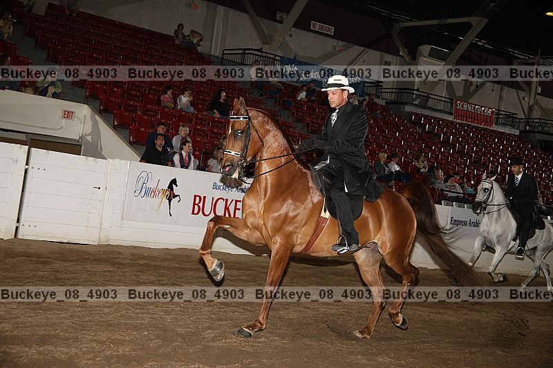 Proof Number buckeye_08_4903