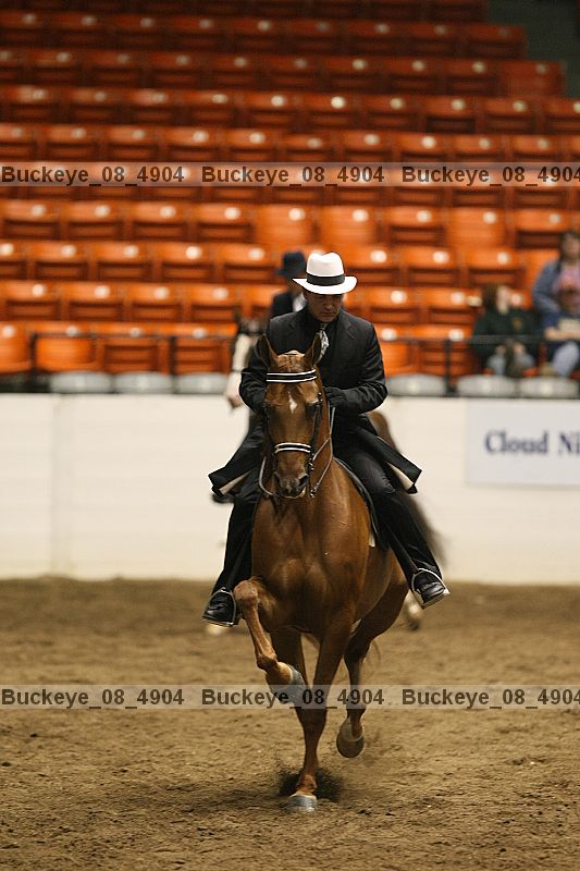 Proof Number buckeye_08_4904