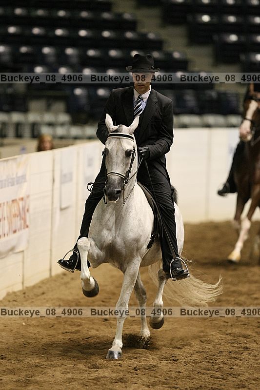 Proof Number buckeye_08_4906