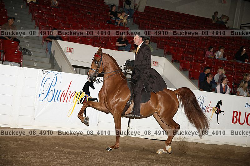 Proof Number buckeye_08_4910