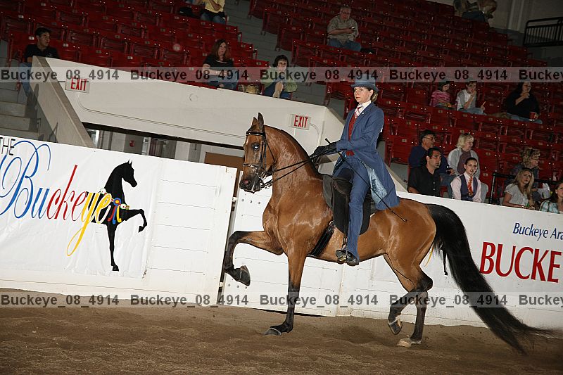 Proof Number buckeye_08_4914