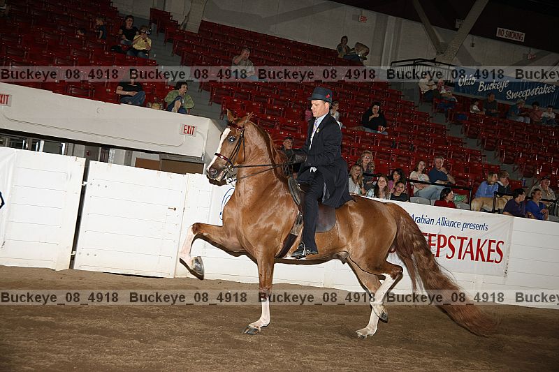 Proof Number buckeye_08_4918