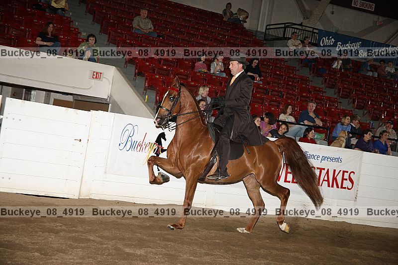 Proof Number buckeye_08_4919