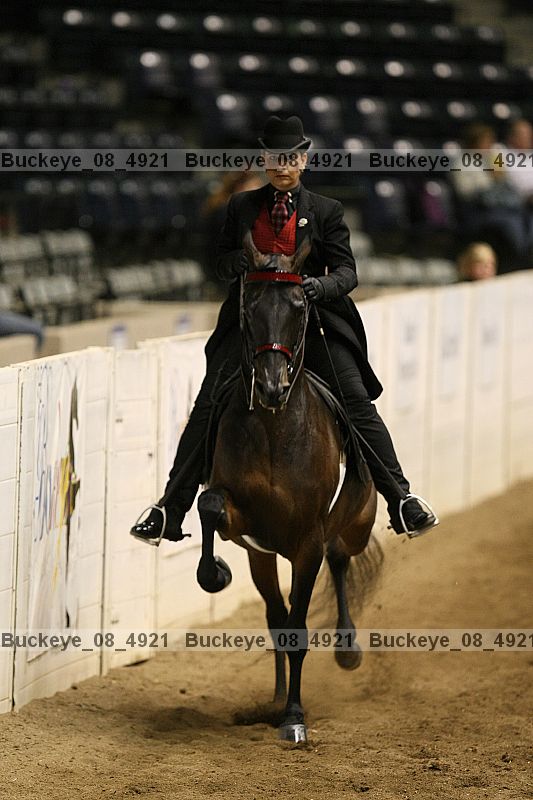 Proof Number buckeye_08_4921