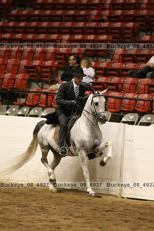 Proof Number buckeye_08_4927