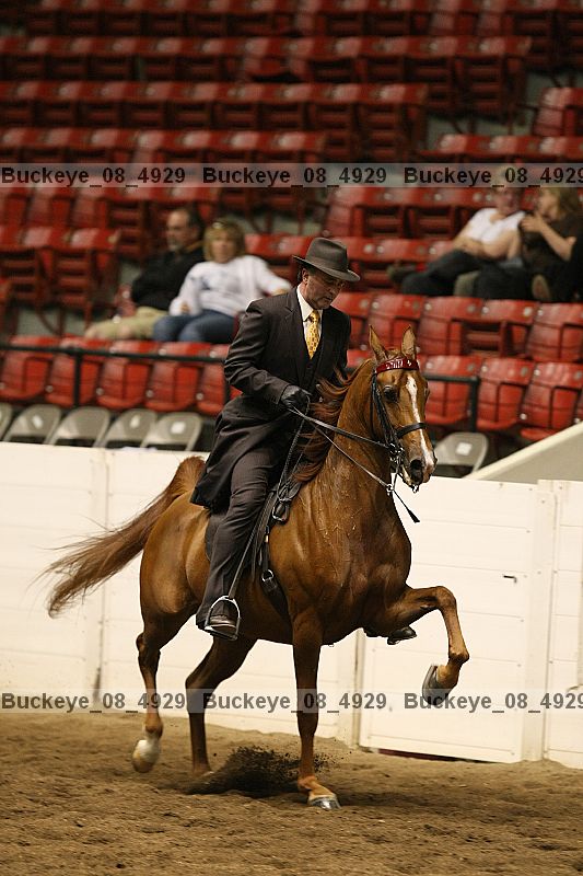 Proof Number buckeye_08_4929