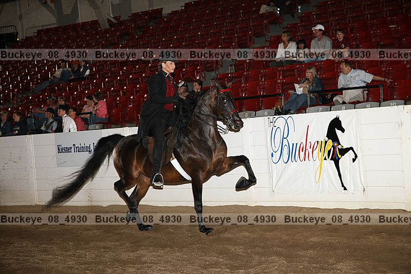 Proof Number buckeye_08_4930
