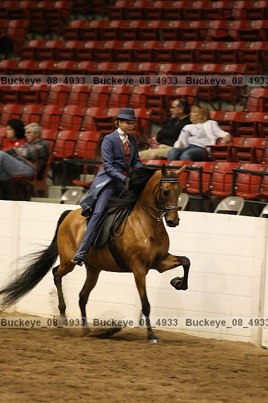 Proof Number buckeye_08_4933