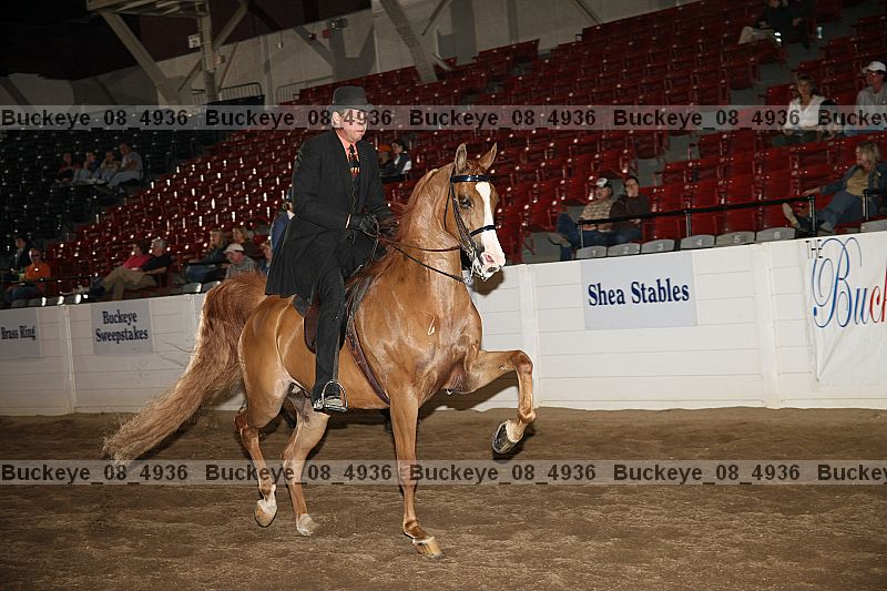 Proof Number buckeye_08_4936