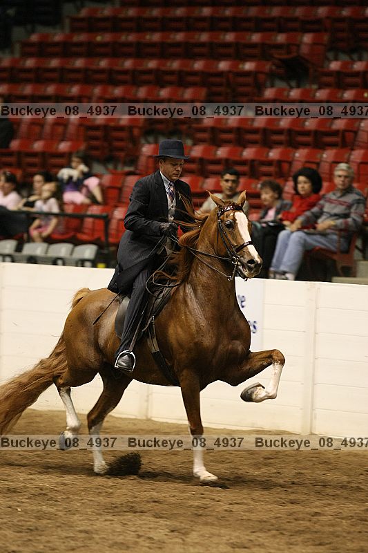 Proof Number buckeye_08_4937