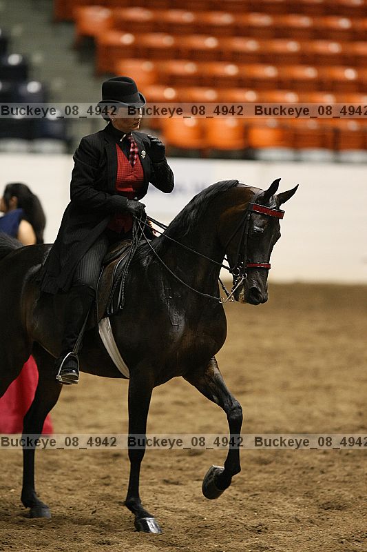 Proof Number buckeye_08_4942