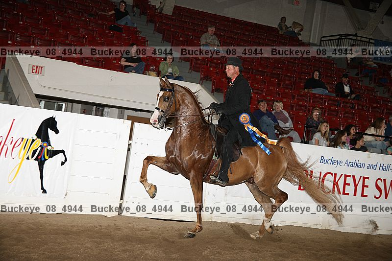 Proof Number buckeye_08_4944