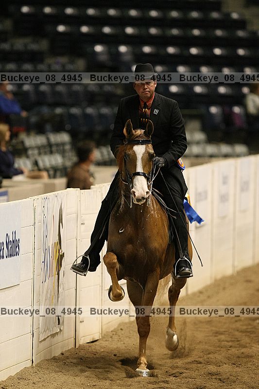 Proof Number buckeye_08_4945