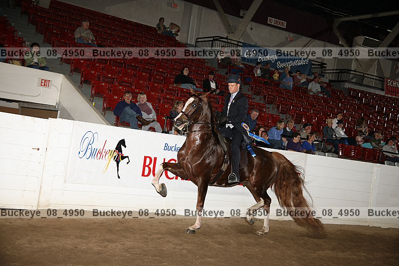 Proof Number buckeye_08_4950