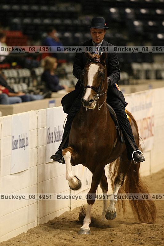 Proof Number buckeye_08_4951