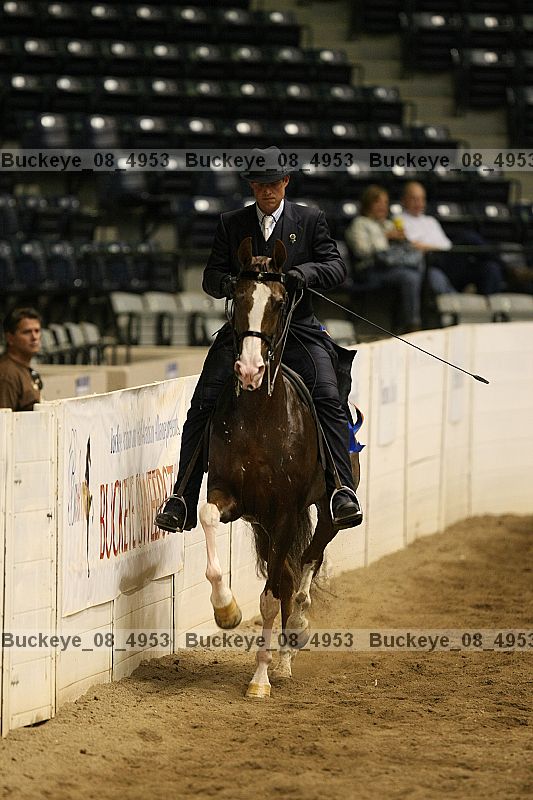 Proof Number buckeye_08_4953