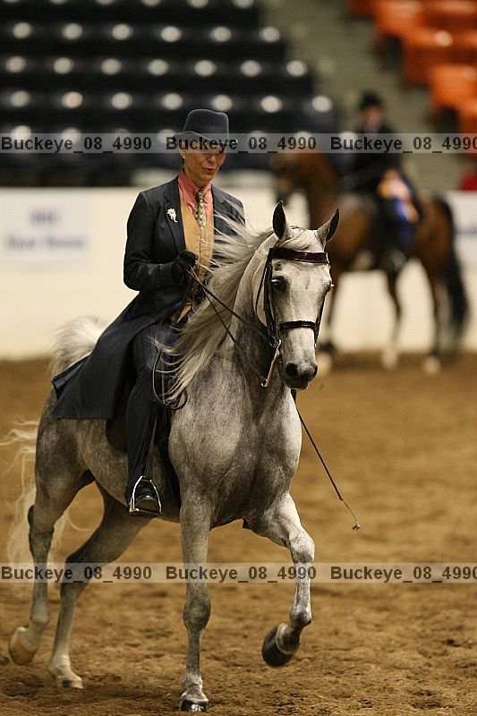 Proof Number buckeye_08_4990