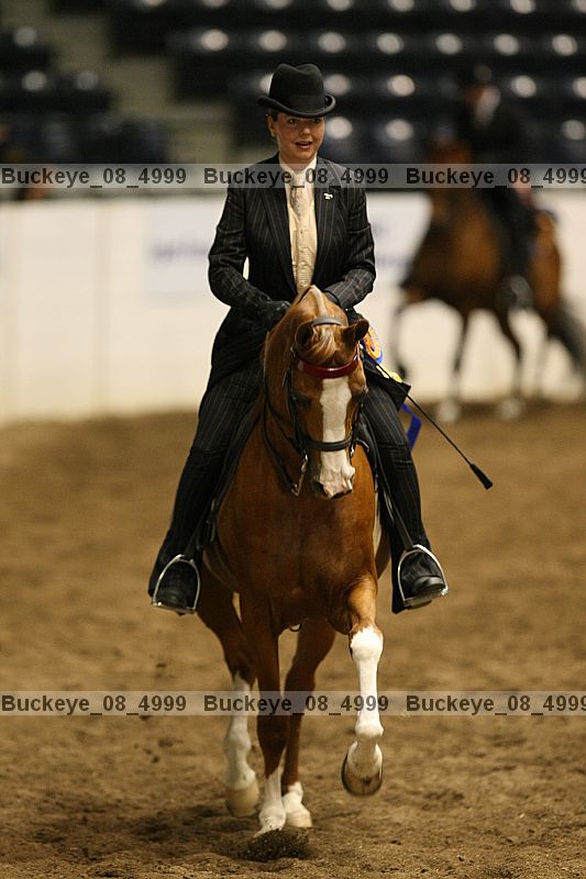Proof Number buckeye_08_4999