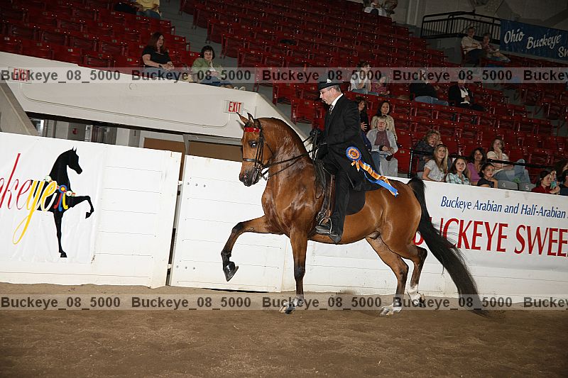 Proof Number buckeye_08_5000