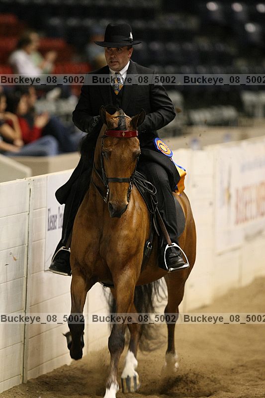 Proof Number buckeye_08_5002