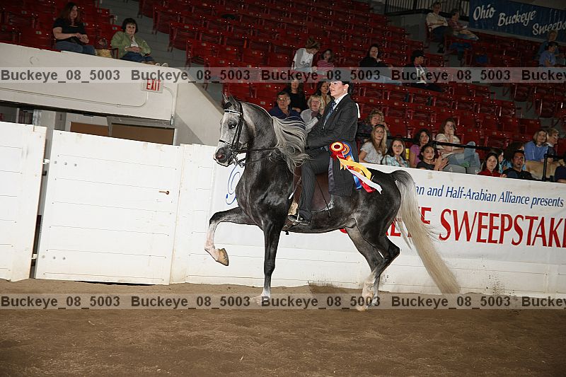 Proof Number buckeye_08_5003