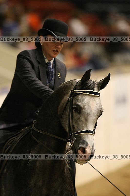 Proof Number buckeye_08_5005