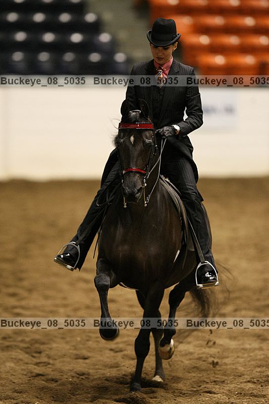 Proof Number buckeye_08_5035