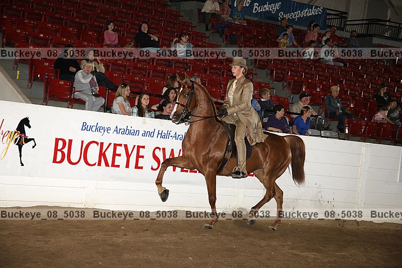 Proof Number buckeye_08_5038
