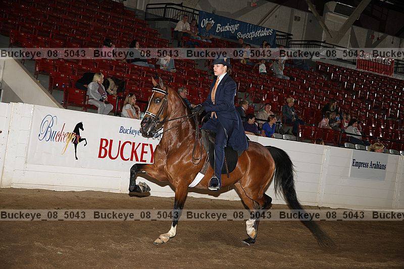 Proof Number buckeye_08_5043